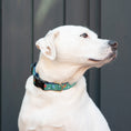 Load image into Gallery viewer, Pickleball Dog Collar