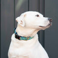 Load image into Gallery viewer, Up Country Pickleball Cast Brass Dog Collar