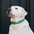 Load image into Gallery viewer, Up Country Pickleball Cast Brass Dog Collar