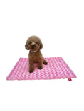 Load image into Gallery viewer, Rosebud Minkie Binkie, Coral