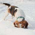 Load image into Gallery viewer, Pinecones Dog Collar