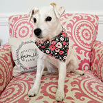 Pink Flowers on Black Dog Bandana