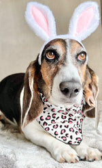 Pink Leopard Print Bandana