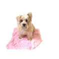 Load image into Gallery viewer, Carrier Square Blanket, Powder Puff in Pale Pink