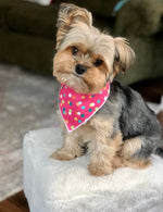 Pink Polka Dog Bandana