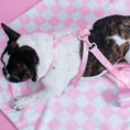 Load image into Gallery viewer, Frenchie Strap Harness - Pink Bubblegum