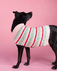 Load image into Gallery viewer, Up Country Pink Fair Isle Sweater Pet Accessory