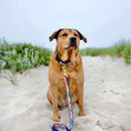 Load image into Gallery viewer, Up Country Pink Madras Cast Brass Dog Leash
