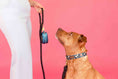 Load image into Gallery viewer, Riley Dog Collar