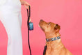 Load image into Gallery viewer, Stella Rope Dog Leash