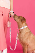 Load image into Gallery viewer, Clarke Dog Collar