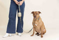 Load image into Gallery viewer, Beckett Dog Collar