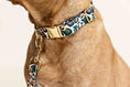 Load image into Gallery viewer, Beckett Dog Collar