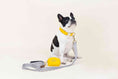 Load image into Gallery viewer, Avery Dog Leash