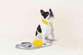 Load image into Gallery viewer, Nova Dog Collar