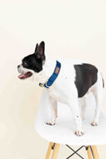 Load image into Gallery viewer, Channing Dog Collar