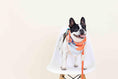 Load image into Gallery viewer, Reese Dog Bandana