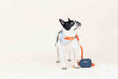 Load image into Gallery viewer, Reagan Waste Bag Holder & Treat Pouch
