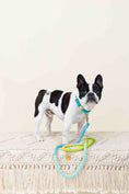 Load image into Gallery viewer, Alexandria Rope Dog Leash
