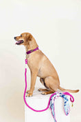 Load image into Gallery viewer, Bree Rope Dog Leash