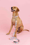 Load image into Gallery viewer, Emery Dog Leash