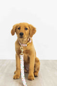 Load image into Gallery viewer, Isabella Dog Leash