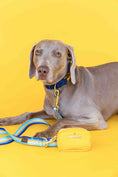 Load image into Gallery viewer, Milo Dog Leash