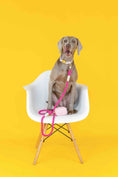 Load image into Gallery viewer, Isabella Dog Collar