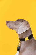 Load image into Gallery viewer, Ryan Dog Collar
