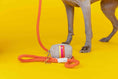 Load image into Gallery viewer, Adele Waste Bag Holder & Treat Pouch