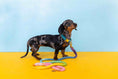 Load image into Gallery viewer, Nola Rope Dog Leash