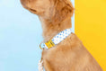 Load image into Gallery viewer, Drew Dog Collar