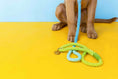 Load image into Gallery viewer, Alexandria Rope Dog Leash