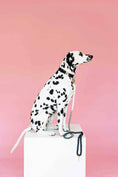 Load image into Gallery viewer, Cairo Rope Dog Leash