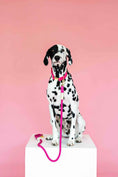 Load image into Gallery viewer, Christine Rope Dog Leash