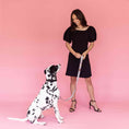 Load image into Gallery viewer, Avery Dog Leash