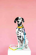 Load image into Gallery viewer, Nola Rope Dog Leash