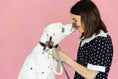 Load image into Gallery viewer, Cairo Rope Dog Leash