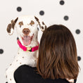 Load image into Gallery viewer, Antoinette Dog Collar