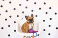 Load image into Gallery viewer, Pixie Rope Dog Leash