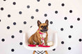 Load image into Gallery viewer, Aria Waste Bag Holder & Treat Pouch