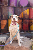 Load image into Gallery viewer, Pixie Rope Dog Leash