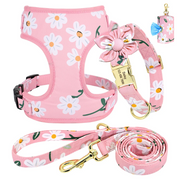 4pc Floral Daisy Dog Collar Harness Leash & Poo Bag Set | Personalized Free