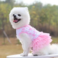 Load image into Gallery viewer, Floral Lace Chiffon Dog Tutu Dress