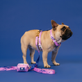 Load image into Gallery viewer, Frenchie Strap Harness - Pink Marble