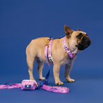 Frenchie Strap Harness - Pink Marble