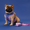 Load image into Gallery viewer, Frenchie Duo Reversible Harness - Pink Marble