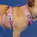 Load image into Gallery viewer, Frenchie Strap Harness - Pink Marble