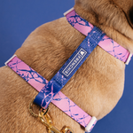 Frenchie Strap Harness - Pink Marble