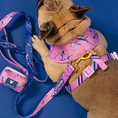 Load image into Gallery viewer, Frenchie Duo Reversible Harness - Pink Marble